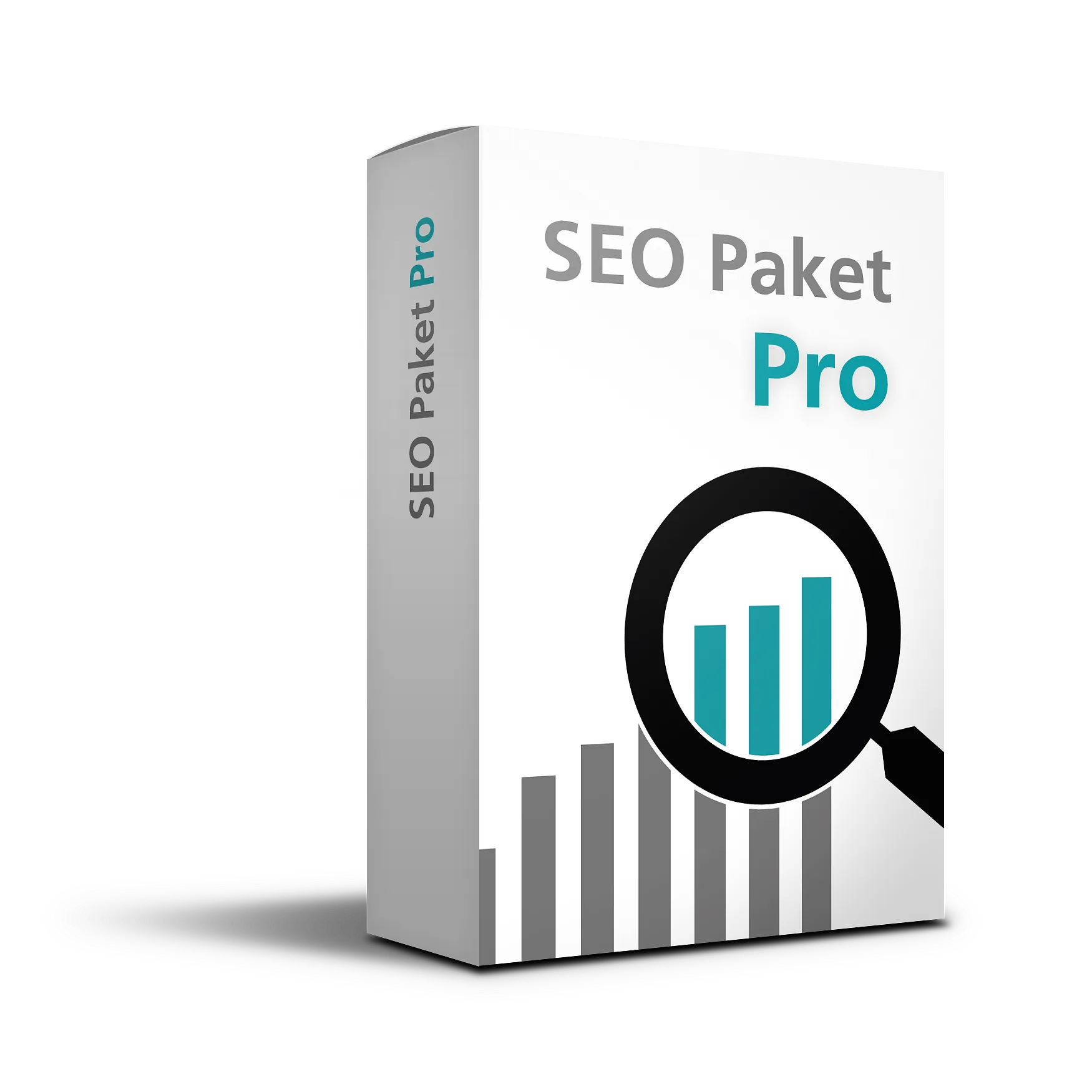 Suchmaschinenoptimierung SEO Paket Pro
